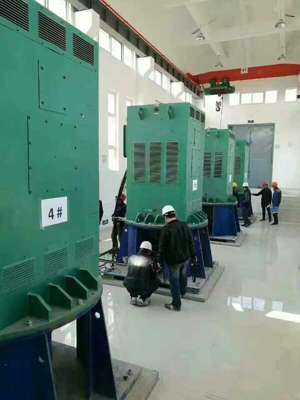 舒兰某污水处理厂使用我厂的立式高压电机安装现场
